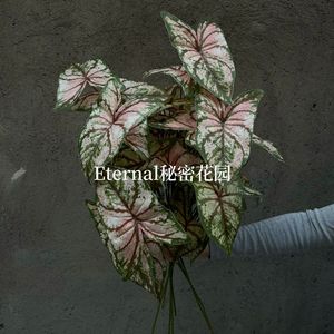 Feuilles artificielles Caiyuyehaiyuye vertes à motifs blancs imprimées en 3D pour la décoration de la maison et les accessoires de mariage - Product Image 3