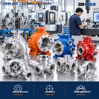 Fabrication sur mesure selon plans OEM pour les corps de pompes en alliage d'aluminium par coulée sous pression