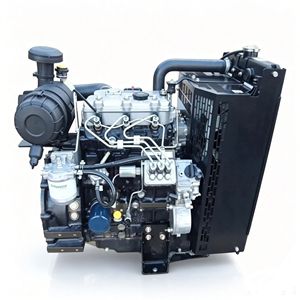 Moteur 403D-11, 3 cylindres en ligne, diesel, 1,1 L, aspiration naturelle, marque OEM, garantie 1 an, origine Guangdong, testé par Perkins - Product Image 1