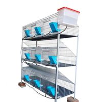 Configuration de cage à lapins à plusieurs niveaux pour une reproduction efficace et une gestion optimale de l'espace