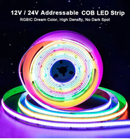 Bande lumineuse LED Dream Color RGBIC DC12V 432 LED 10MM 8W, bande LED COB adressable, éclairage en corde RGB programmable