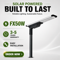 Lampe solaire FX-50W avec capteur IP65+IK10+PIR+LiFePO4, module DALI D4i haut de gamme, pour parc industriel