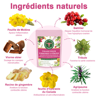 Thé pour l'utérus, bien-être et équilibre hormonal, réduction des crampes menstruelles et de l'inflammation, formule 100% naturelle