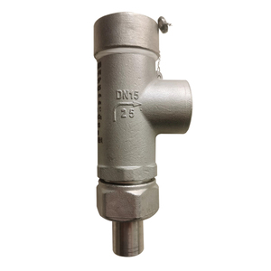 Válvula de Alivio Criogénica de Acero Inoxidable -196°C para Seguridad Criogénica en LNG, LN2, LO2, LAr - Product Image 1