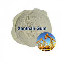 80 200 Mesh Fabricant de gomme de xanthane Gomme de xanthane de qualité pour l'industrie cosmétique