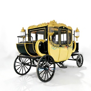 รถม้าหรูหราสำหรับการชมวิวกลางแจ้ง ใช้พลังงานไฟฟ้า เหมาะสำหรับงานแต่งงานและนักท่องเที่ยว - Product Image 1