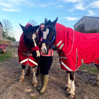 Couverture d'extérieur imperméable verte pour cheval avec col en fausse fourrure, résistante à la pluie, pour l'hiver