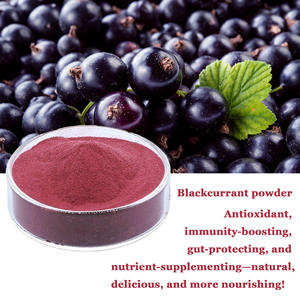 Лидер продаж, порошок экстракта черной смородины, сублимированный порошок черной смородины, порошок фруктового сока - Product Image 2