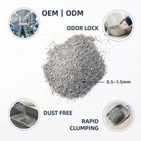 Litière pour chat en bentonite à haute capacité d'échange ionique ISO MSDS Échantillon gratuit OEM ODM Sable pour chat professionnel en vrac