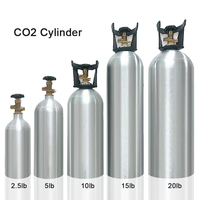 Bouteille de CO2 de haute qualité certifiée CE et DOT, cylindre de recharge pour bière, bouteille de gaz en aluminium CO2 20 lb, fabrication chinoise