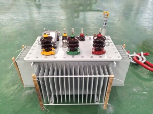 Transformador de Distribución de Energía Trifásico Sumergido en Aceite Xi'an Xikai S9-200/35 35kV 50/60Hz 50-1600kVA Yyn0 Precio de Fábrica - Product Image 4