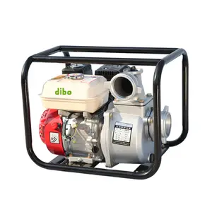 TOP-Sale wp20 Irrigation Portable gasoline engine water pump machines engine gasoline water pump 4 stroke cast iron gasoline