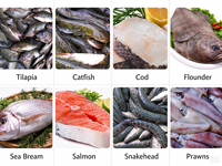 Machine à peler la peau de poisson automatique certifiée CE, équipement commercial de transformation des produits de la mer