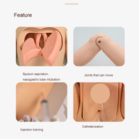 Mannequins humains pour soins aux adultes, modèles masculins et féminins avec fonction de mesure de la pression artérielle, mannequins d'entraînement aux compétences de soins CE/ISO