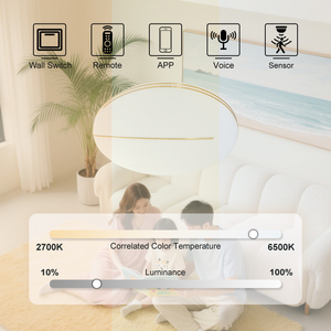 Oem <span class=keywords><strong>ODM</strong></span> sắt đa màu sắc thiết kế thời trang 24 Wát bề mặt được gắn trong nhà hiện đại LED trần đèn lịch thi đấu cho phòng ngủ - Product Image 2