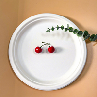 Assiettes jetables en bagasse végétale de qualité commerciale, biodégradables, empilables, pour la restauration et les événements