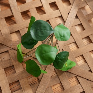 Plante Artificielle Verte Style INS, 12 Têtes, en Tissu Huilé, Toucher Naturel, Décoration Maison, Bouquet de Mariage, CallaFloral - Product Image 3