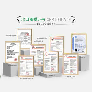 Unidad de Sillón Dental Hori Eléctrico con Escupidera Integrada, Certificado CE, para Uso Clínico - Product Image 2