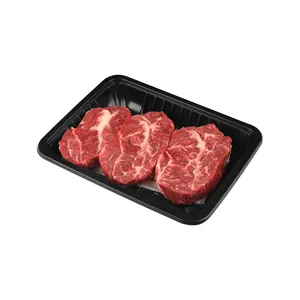 Broyeur/congélateur professionnel, emballage frais, PP, présentoir de viande, plateau pour produits glacière