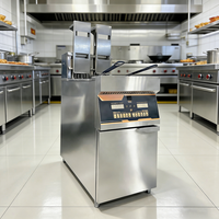 Friteuse Électrique Professionnelle Automatique à Panier Coulissant, Contrôle Numérique, 16,5 kW, 380 V, Grande Capacité 22L+22L