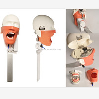 Maniquí de entrenamiento dental con torso y hombros/Simulador para sillón dental, cabeza de fantasma, modelo de paciente articulado de resina y metal