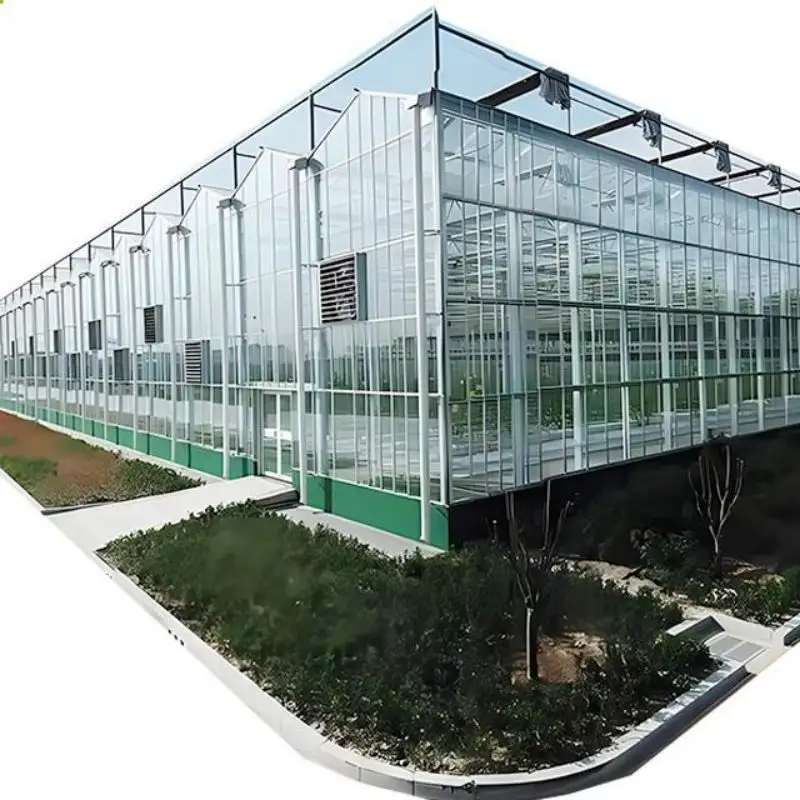 Nhà Cung Cấp Thủy Tinh Thương Mại Nhà Kính Với Dft Thủy Canh Phát triển Hệ Thống Cho Lá Rau Multispan Glass Màu Xanh Lá Cây Nhà