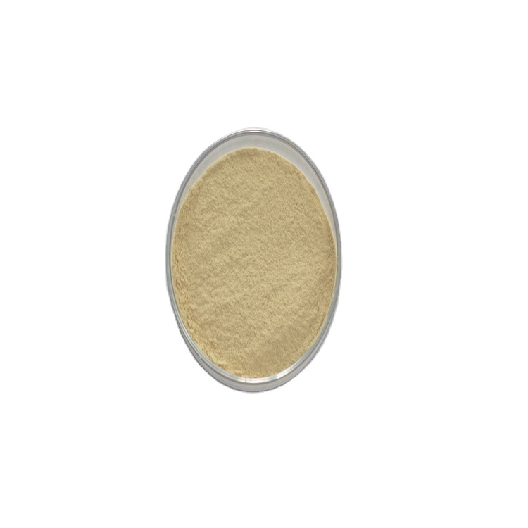 Factory Directly Supply High Quality Biological Organic Fertilizer Brevibacillus Laterosporus