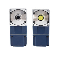 Ruizhanpeng Motor DC Magnet Permanen Poros Padat Sudut Kanan Tanpa Hall Tanpa Sikat Miniatur 220V Kecepatan Dapat Diatur Gigi Variabel