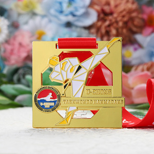 Medallas de Karate 3D únicas de aleación de Zinc 2025, medallas de <span class=keywords><strong>artes</strong></span> <span class=keywords><strong>marciales</strong></span> de esmalte suave/Medallas de Taekwondo, medallas personalizadas con <span class=keywords><strong>cinta</strong></span> - Product Image 5