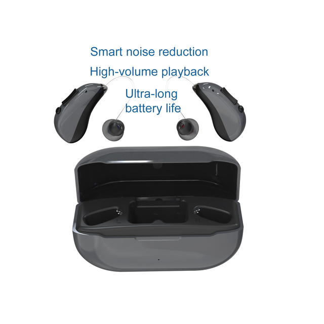Compact Rechargeable Hearing Aids with Noise Cancelling and Clear Sound for Adults