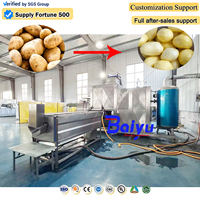 BaiyuIndustrial aardappelstoomschilmachine voor de productielijn van frieten met automatische schilverwijderingstechnologie