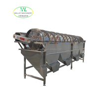 Fabrieksafprijs Walley Automatische Rotatietrommel Sorteermachine voor Fruitverwerkingsbedrijven, Groenten, Fruit, Sorteren van Kersentomaten, Taro