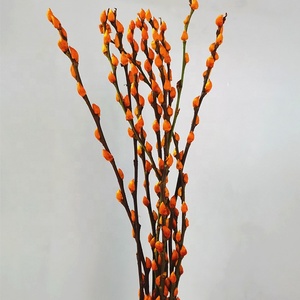 Offre Spéciale coloré préservé salix argyracea fleur véritable naturel préservé de saule pour la décoration du festival - Product Image 6