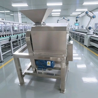 Industriële grootschalige fruit- en groentepulp- en pureermachine van roestvrij staal, horizontaal, 220V, capaciteit 20kg/u