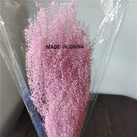 Ge conserveerde Lunaria Mini Pennycress bloem, verse natuurlijke huisdecoratie voor bruiloften, Moederdag, Kerstmis