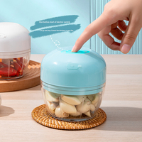 Hot Selling Model 45W 300ML Rechargeable Portable Food Processor Chopper Mini Garlic Food Chopper