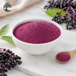 Poudre d'extrait de <span class=keywords><strong>sureau</strong></span> biologique premium en vrac, soluble dans l'eau, pure et naturelle, poudre de fruits de Sambucus Nigra de qualité alimentaire, vente en gros - Product Image 4