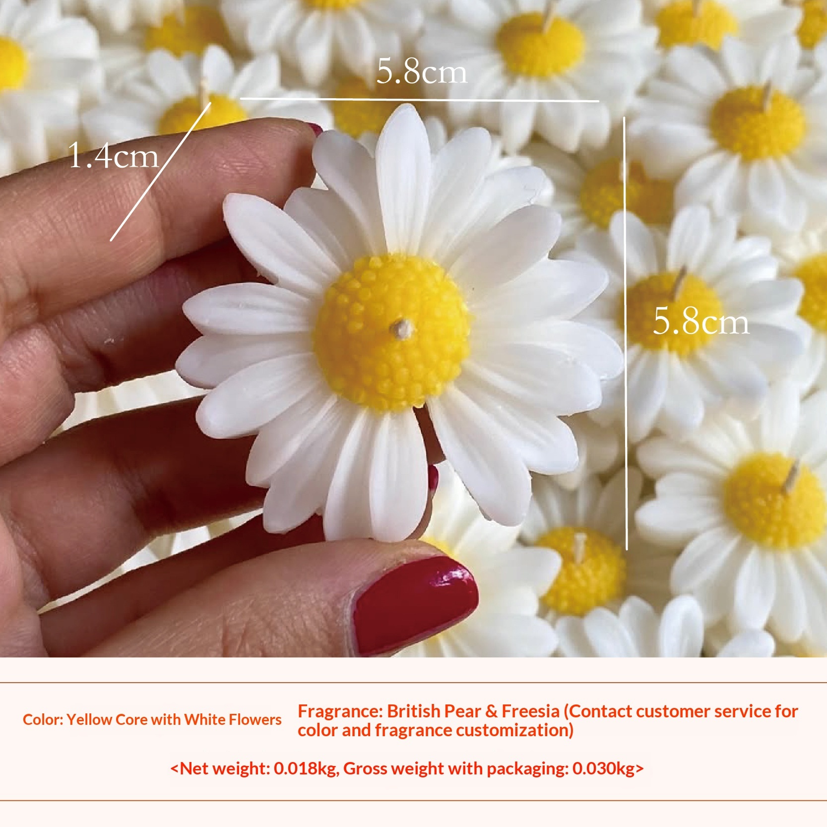 Yellow core and white flower