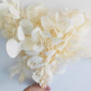 Ins Vente Chaude Fleurs Séchées <span class=keywords><strong>Lunaria</strong></span> <span class=keywords><strong>Annua</strong></span> pour Maison/Mariage Décoration Fleur pour Arrangement Bouquet - Product Image 3