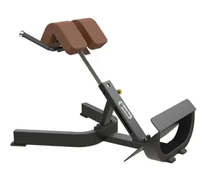 Shangong lanbo equipamento de ginástica profissional, extensão traseira/cadeira romana