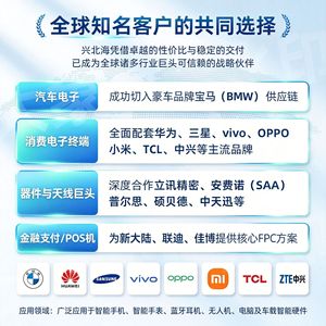 Placa de Circuito Flexible FPC Xingbeihai de 2 Capas de Poliimida PI, Aislamiento de 25m, Hecho a Medida para Módulos de Pantalla LCD - Product Image 4