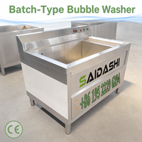 SAIDASHI Industriële Belwasmachine voor Aardappel Wortel Gember Ui met Ozonverwarming en Grote RVS-tank