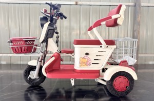 Venta de Fábrica: Nuevo Triciclo Eléctrico Compacto de 3 Ruedas, 48V 20Ah, para Mujeres, Niños y 2 Pasajeros, Modelo 2026 - Product Image 3