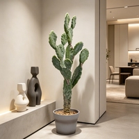 Cactus artificiel réaliste de 74 cm en pot en plastique, très demandé