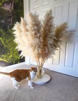 Rumput Pampas Besar 50-90cm Dekorasi Rumah Pernikahan Boho Bohemian Rangkaian Bunga Natal