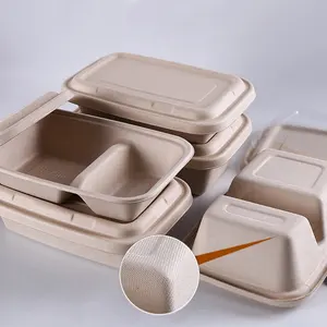 Disposable Paper Lunch Box Disposable Biodegradable Fast Food Pulp Container Bagasse Paper Lunch Box