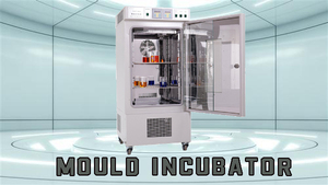 Incubateur de laboratoire 80L à température et humidité constantes, fonction minuterie, écran LCD, matériau SUS 304, 220-240V AC 2/5 - Product Image 3