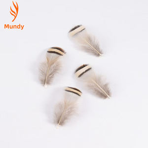 Accessoires de bijouterie artisanaux, 100 pièces, plumes de <span class=keywords><strong>faisan</strong></span> chukar naturelles de 4 à 8 cm, petite taille, plumes de <span class=keywords><strong>faisan</strong></span>, décoration pour la fête des mères, décoration de mariage - Product Image 4