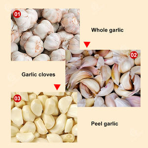 Ligne de production de pelage <span class=keywords><strong>d</strong></span>'<span class=keywords><strong>ail</strong></span> entièrement automatisée à haute capacité pour les entreprises de transformation à grande échelle - Product Image 6