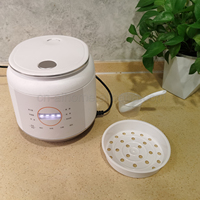 Nouveau produit 2026 : Mini cuiseur à riz 1L avec cuve intérieure en céramique, revêtement antiadhésif, forme hémisphérique, 400W, fonction maintien au chaud, tasse doseuse électrique et minuteur